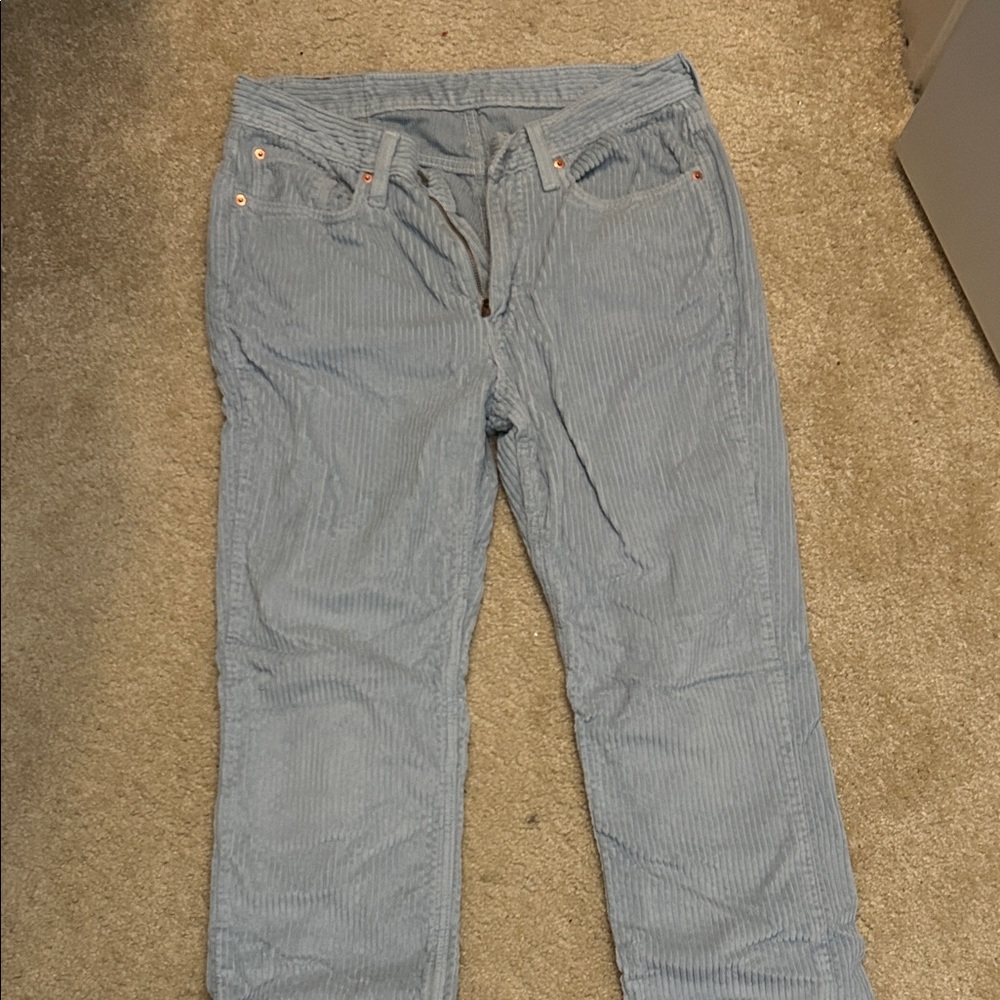 Levi’s Men's Blue corduroy Striped Pants